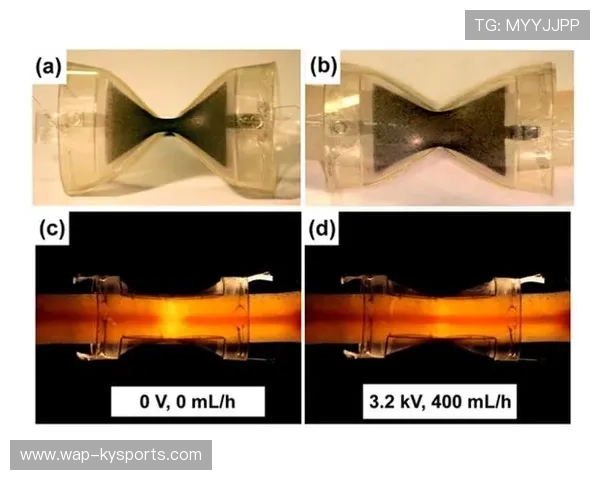 模块化插件系统在创新周期内重塑后端 允许根据赛事规模弹性调整功能